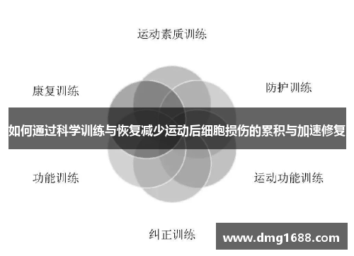 如何通过科学训练与恢复减少运动后细胞损伤的累积与加速修复
